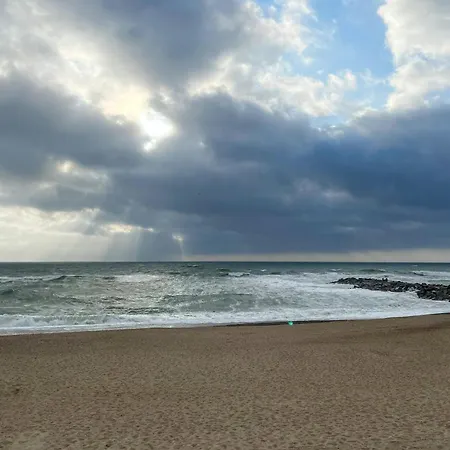 펜션 Autentisk Traehus Taet Pa Vesterhavet Vestervig